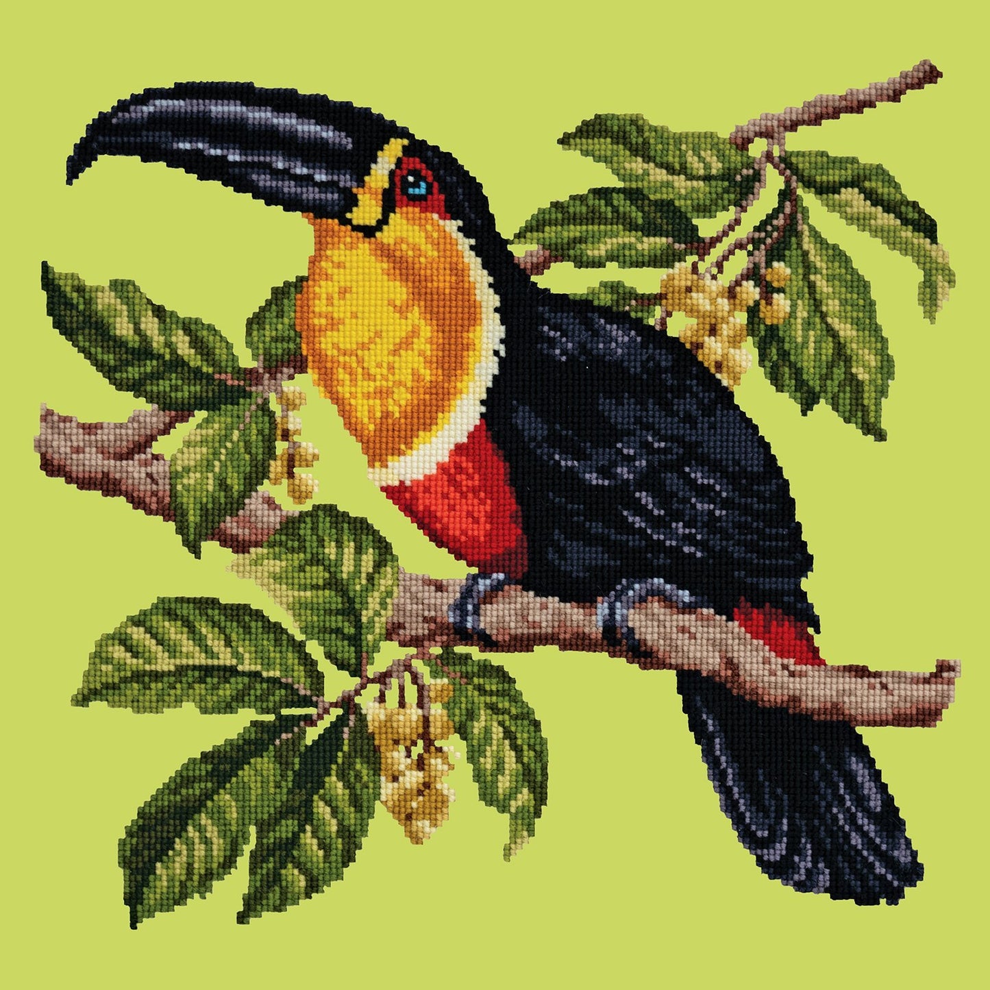 Toucan Needlepoint Kit Elizabeth Bradley Design Pale Lime 