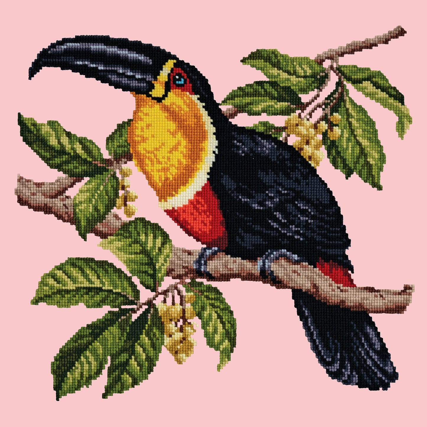 Toucan Needlepoint Kit Elizabeth Bradley Design Pale Rose 