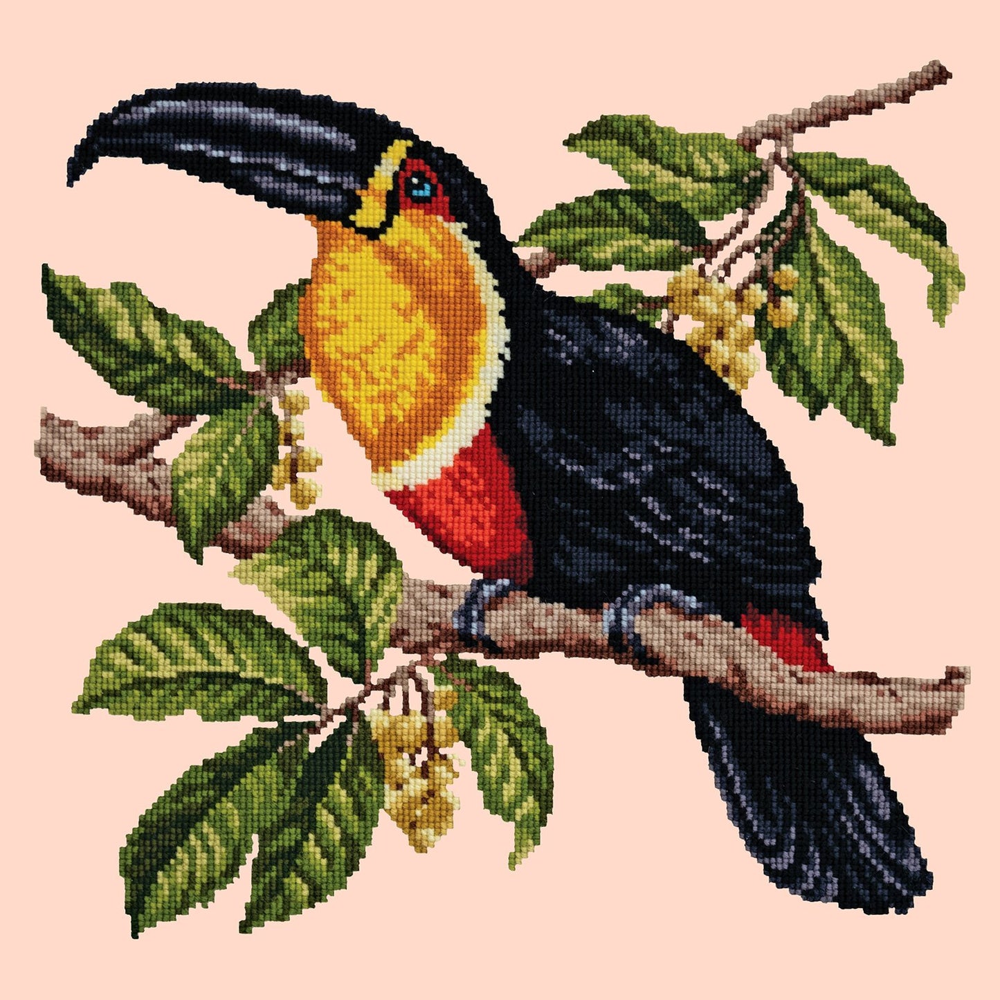 Toucan Needlepoint Kit Elizabeth Bradley Design Salmon Pink 