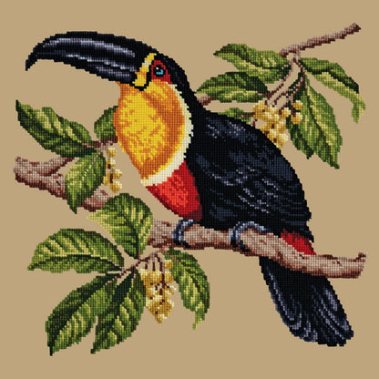 Toucan Needlepoint Kit Elizabeth Bradley Design Sand 