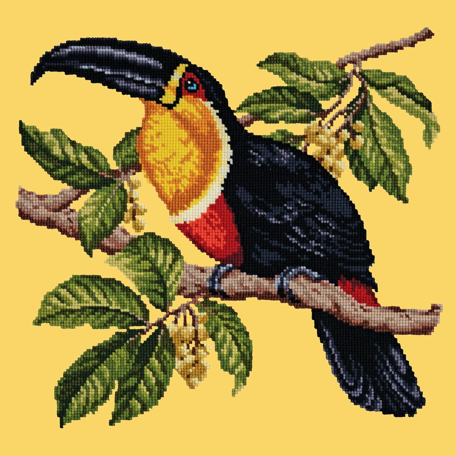 Toucan Needlepoint Kit Elizabeth Bradley Design Sunflower Yellow 