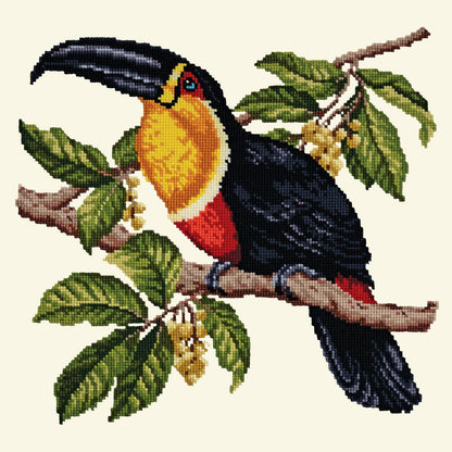 Toucan Needlepoint Kit Elizabeth Bradley Design 