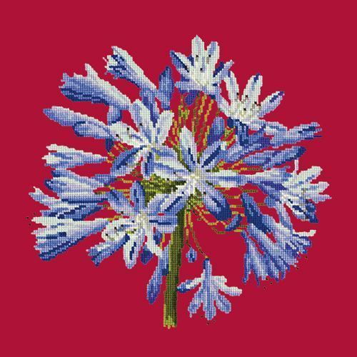 Agapanthus Needlepoint Kit Elizabeth Bradley Design Bright Red 