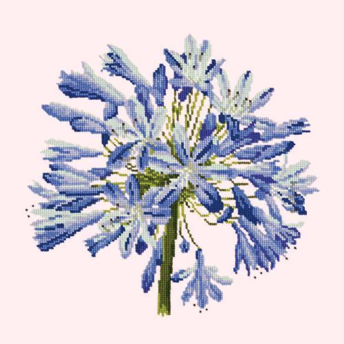 Agapanthus Needlepoint Kit Elizabeth Bradley Design 