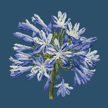 Agapanthus Needlepoint Kit Elizabeth Bradley Design Dark Blue 