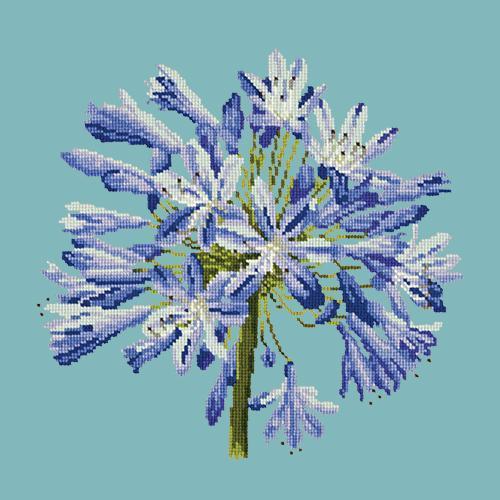 Agapanthus Needlepoint Kit Elizabeth Bradley Design Duck Egg Blue 