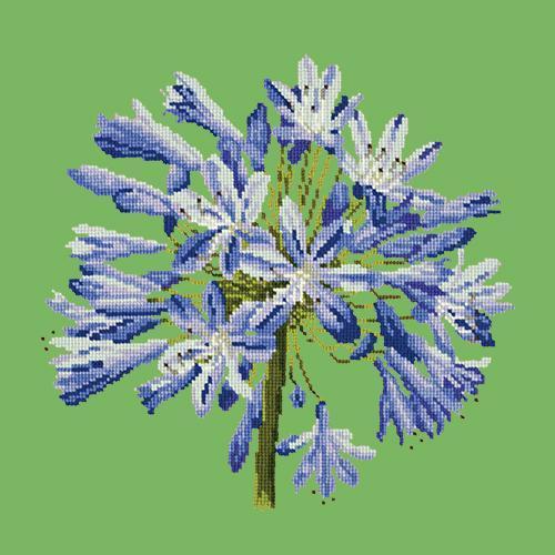 Agapanthus Needlepoint Kit Elizabeth Bradley Design Grass Green 