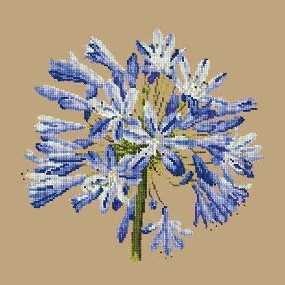 Agapanthus Needlepoint Kit Elizabeth Bradley Design Sand 