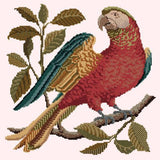 Alister the Parrot Needlepoint Kit Elizabeth Bradley Design Cream 