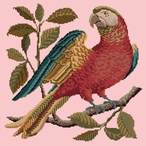 Alister the Parrot Needlepoint Kit Elizabeth Bradley Design Pale Rose 