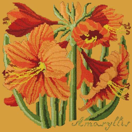 Amaryllis Needlepoint Kit Elizabeth Bradley Design Yellow 