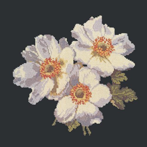 Anemones Needlepoint Kit Elizabeth Bradley Design Black 