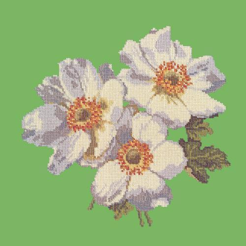 Anemones Needlepoint Kit Elizabeth Bradley Design 