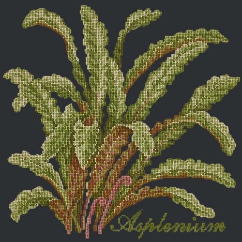 Asplenium Needlepoint Kit Elizabeth Bradley Design Black 