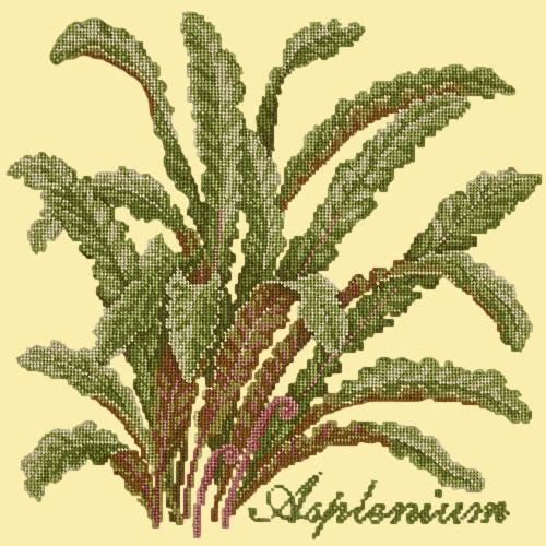 Asplenium Needlepoint Kit Elizabeth Bradley Design Butter Yellow 