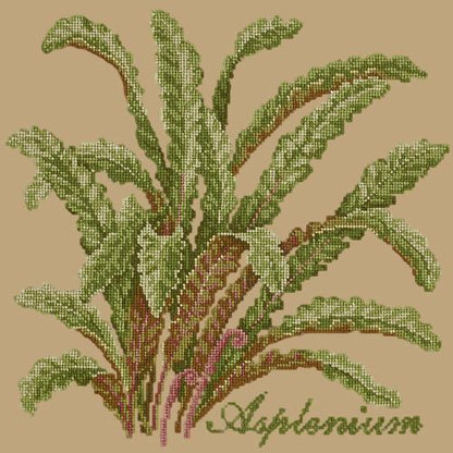 Asplenium Needlepoint Kit Elizabeth Bradley Design Sand 