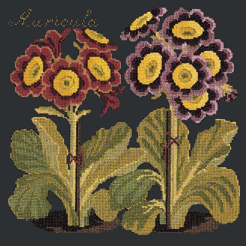 Auricula Needlepoint Kit Elizabeth Bradley Design 