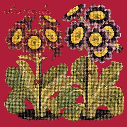 Auricula Needlepoint Kit Elizabeth Bradley Design Bright Red 