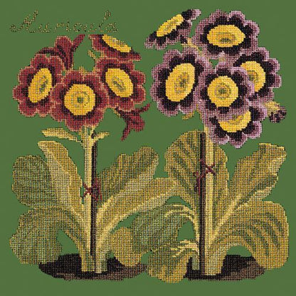 Auricula Needlepoint Kit Elizabeth Bradley Design Dark Green 