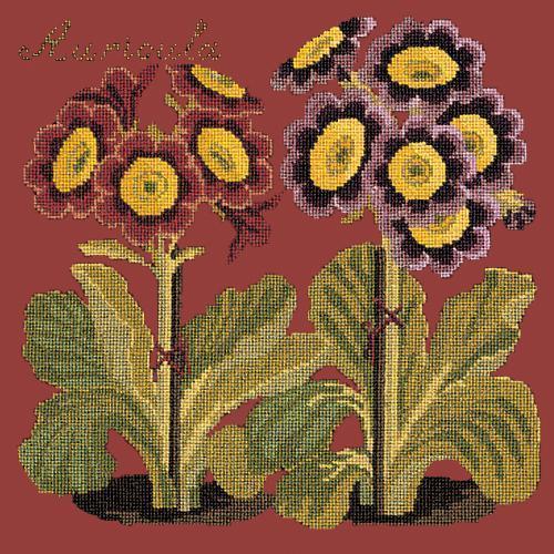 Auricula Needlepoint Kit Elizabeth Bradley Design Dark Red 