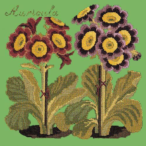 Auricula Needlepoint Kit Elizabeth Bradley Design Grass Green 