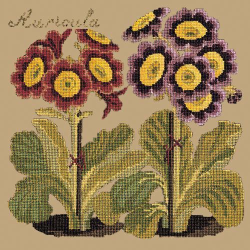 Auricula Needlepoint Kit Elizabeth Bradley Design Sand 