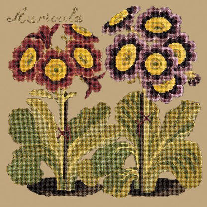 Auricula Needlepoint Kit Elizabeth Bradley Design Sand 