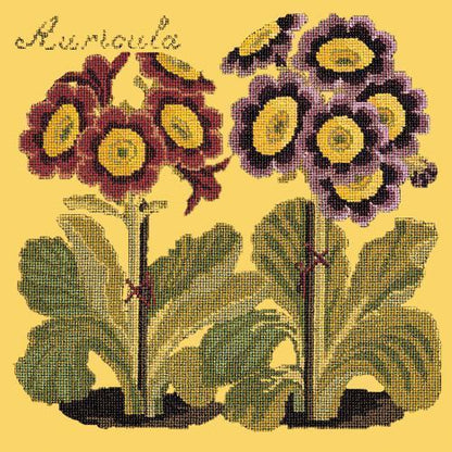 Auricula Needlepoint Kit Elizabeth Bradley Design Sunflower Yellow 