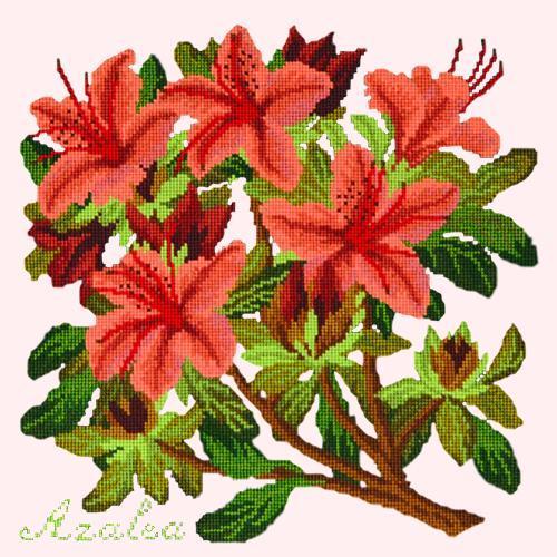 Azalea Needlepoint Kit Elizabeth Bradley Design Cream 