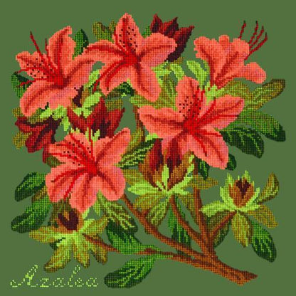 Azalea Needlepoint Kit Elizabeth Bradley Design Dark Green 