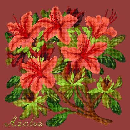 Azalea Needlepoint Kit Elizabeth Bradley Design Dark Red 