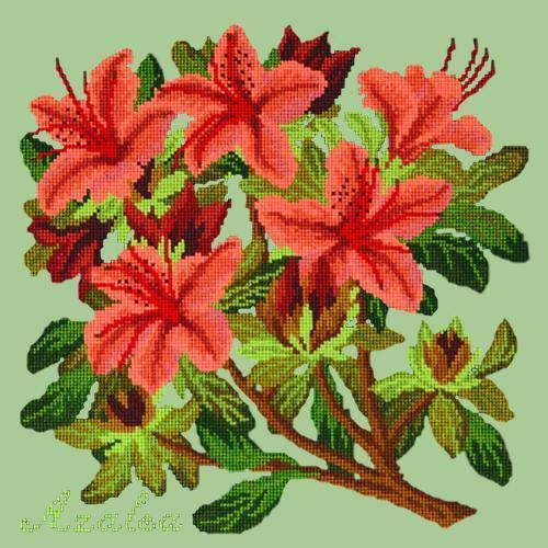 Azalea Needlepoint Kit Elizabeth Bradley Design Pale Green 