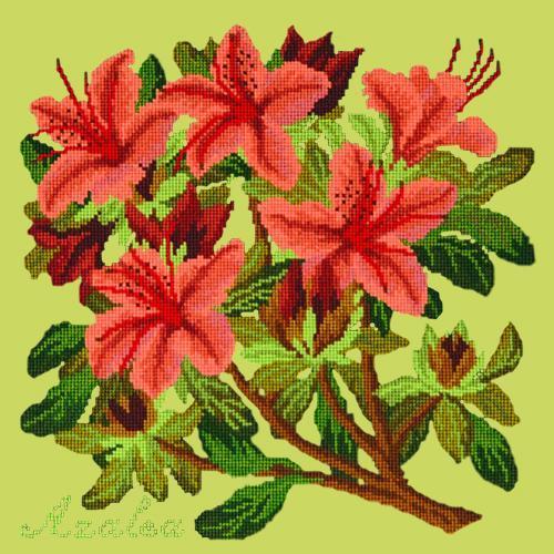 Azalea Needlepoint Kit Elizabeth Bradley Design Pale Lime 