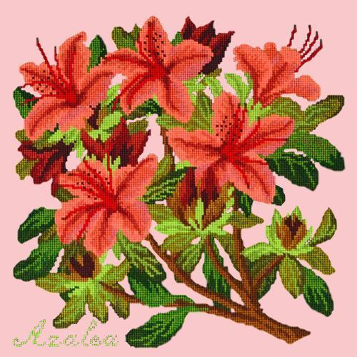 Azalea Needlepoint Kit Elizabeth Bradley Design Pale Rose 