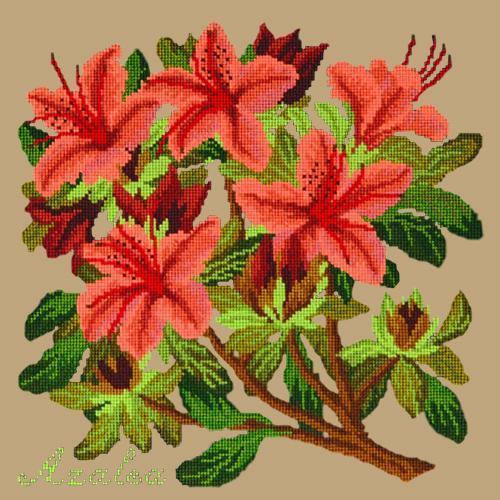 Azalea Needlepoint Kit Elizabeth Bradley Design Sand 