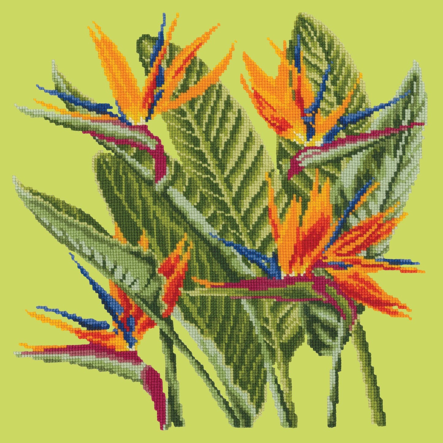 Bird of Paradise Needlepoint Kit Elizabeth Bradley Design 