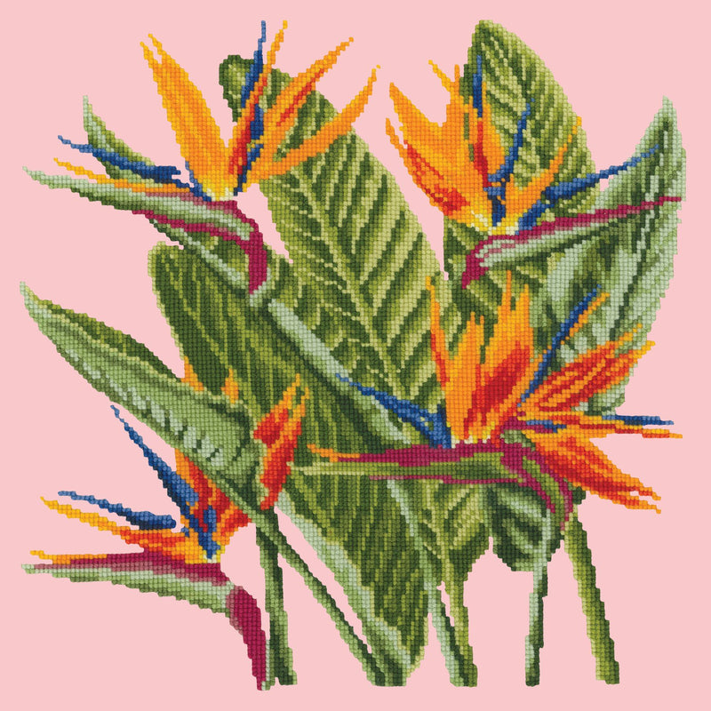 The Tropical Parrot - Cross Stitch Kit