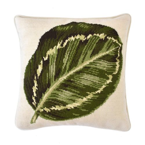 Calathea Leaf
