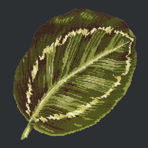 Calathea Leaf Needlepoint Kit Elizabeth Bradley Design Black 