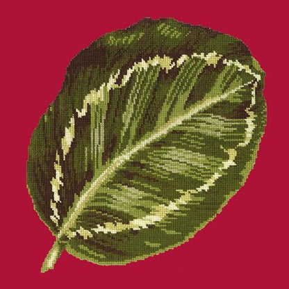 Calathea Leaf Needlepoint Kit Elizabeth Bradley Design Bright Red 