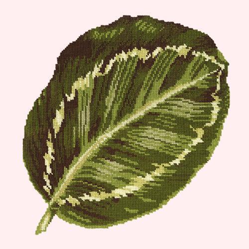 Calathea Leaf Needlepoint Kit Elizabeth Bradley Design Cream 