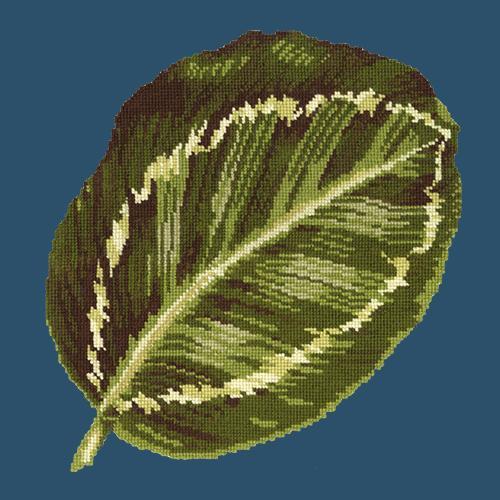 Calathea Leaf Needlepoint Kit Elizabeth Bradley Design Dark Blue 