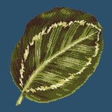 Calathea Leaf Needlepoint Kit Elizabeth Bradley Design Dark Blue 