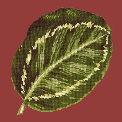 Calathea Leaf Needlepoint Kit Elizabeth Bradley Design Dark Red 