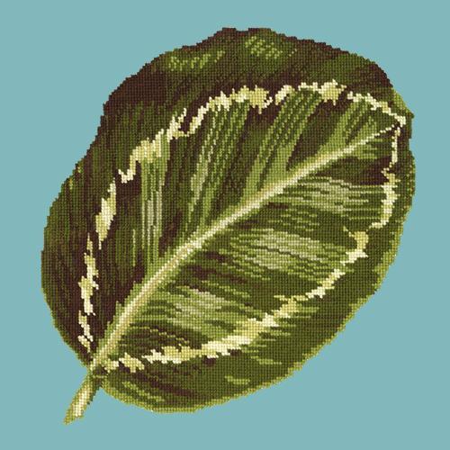 Calathea Leaf Needlepoint Kit Elizabeth Bradley Design Duck Egg Blue 