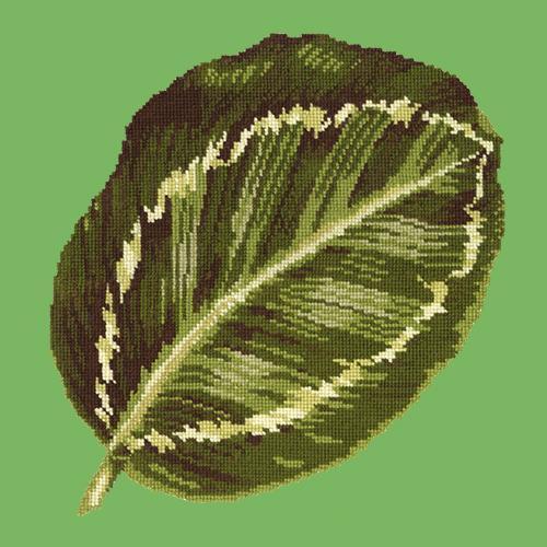 Calathea Leaf Needlepoint Kit Elizabeth Bradley Design Grass Green 