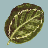 Calathea Leaf Needlepoint Kit Elizabeth Bradley Design Pale Blue 