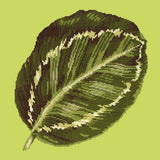 Calathea Leaf Needlepoint Kit Elizabeth Bradley Design Pale Lime 