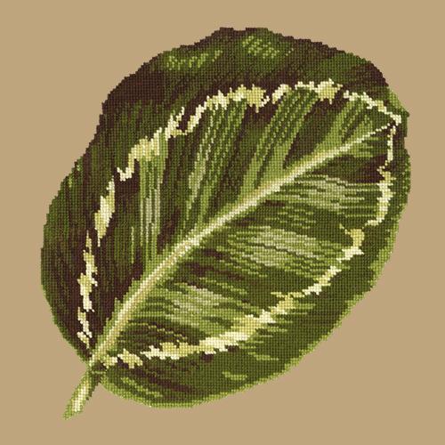 Calathea Leaf Needlepoint Kit Elizabeth Bradley Design Sand 