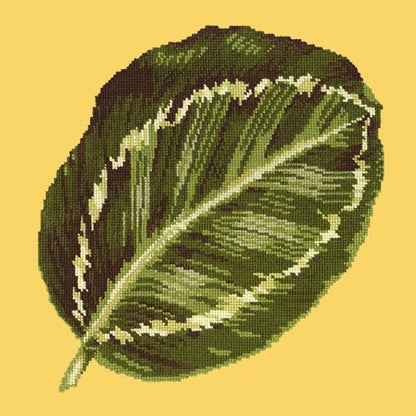 Calathea Leaf Needlepoint Kit Elizabeth Bradley Design Sunflower Yellow 